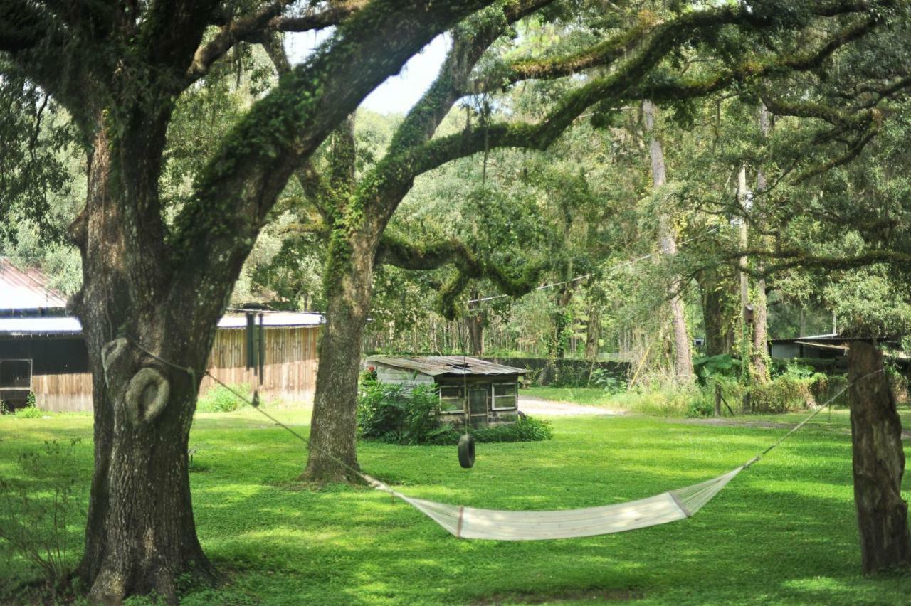 The Harmony Oaks Homestead Masaryktown Eksteriør bilde